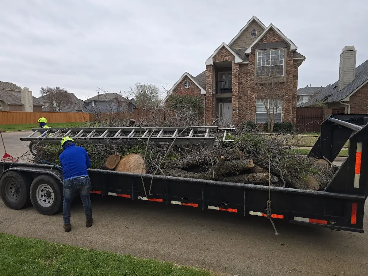 Expert Tree Fertilization with proper safety equipment in Fort Johnson